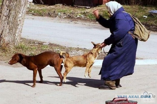 Как это сделано. Вагон электрички