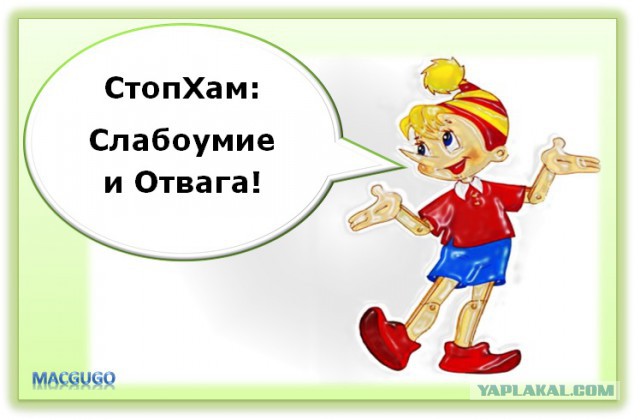 СтопХам 156