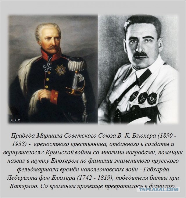 20 фактов обо всем