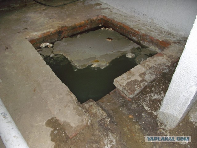 Зашел на днях в подвал.