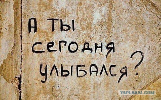Веселости которые встретились сегодня