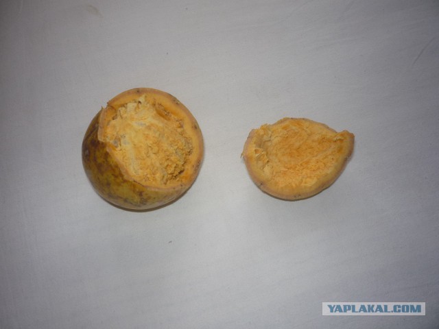 На рынках Индии и рядом