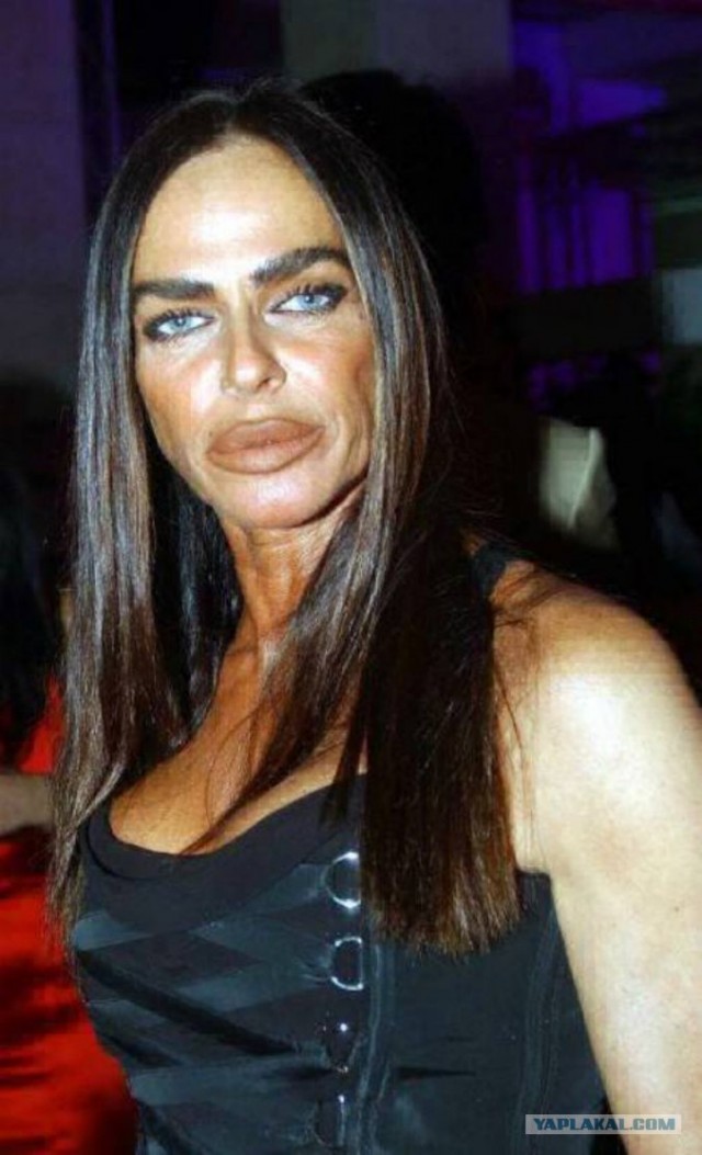 Чучело лисы