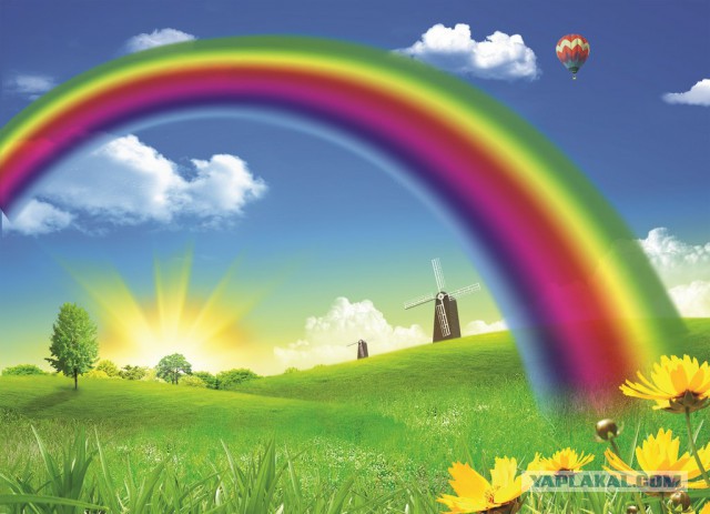 Опасный котэ