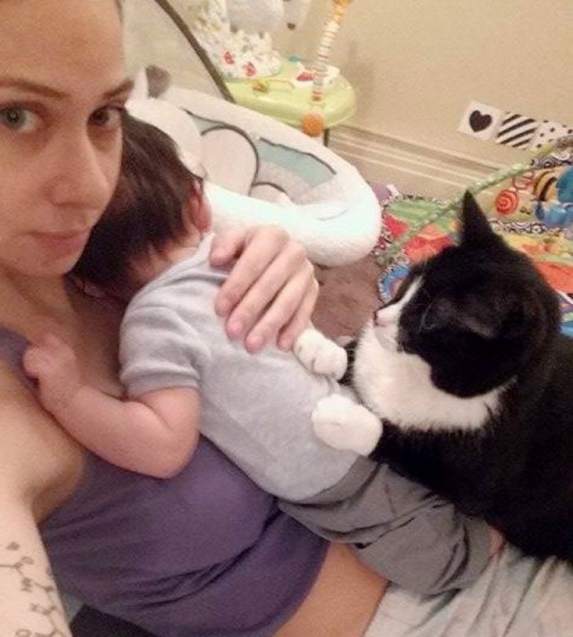 Кошка любила и хранила малыша, когда он был в животе мамы