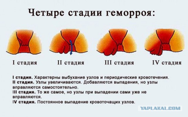 Когда ты веган, но никому не рассказывал об этом уже 5 минут