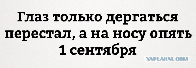 Весёлые картинки