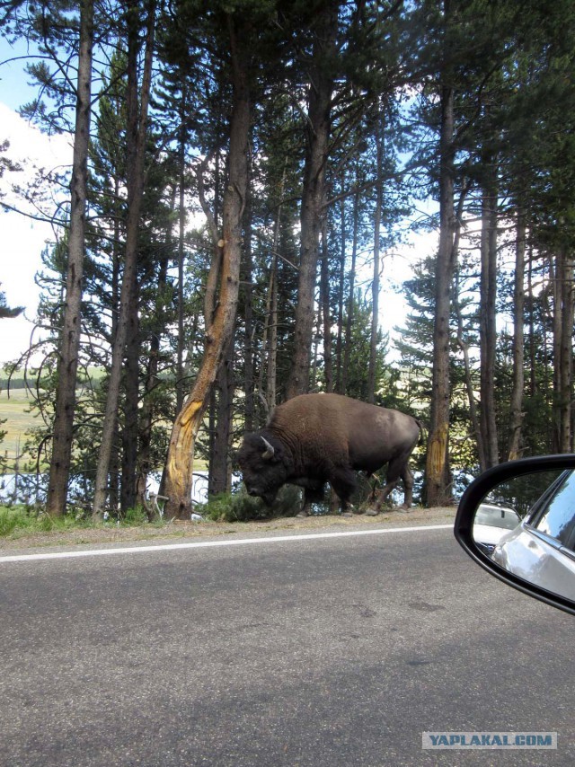 Деревенская Америка - 2