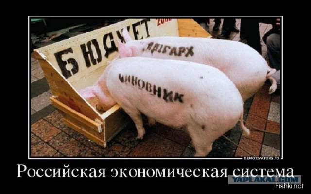 Счастливого Ким Чен Ына запечатлели на фото со свиньями
