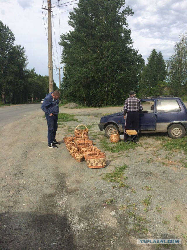 Былинный дедок
