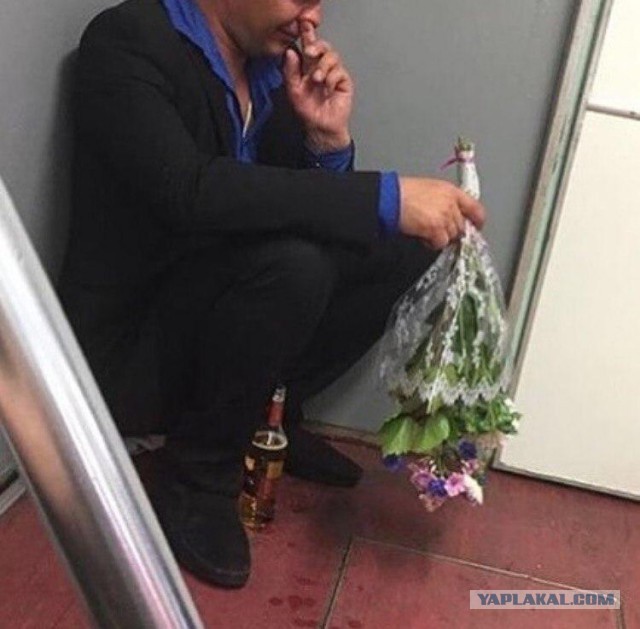 Не, ну это уже ни в какие ворота...