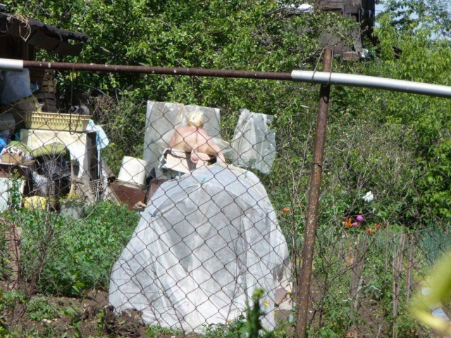 Девушки на природе
