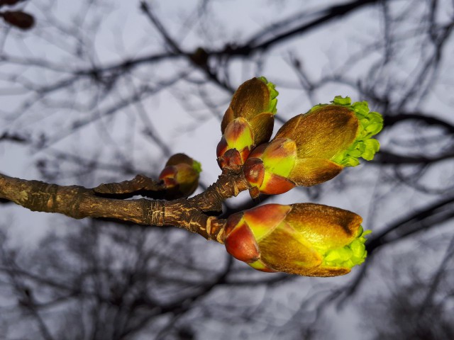 Просто Природа