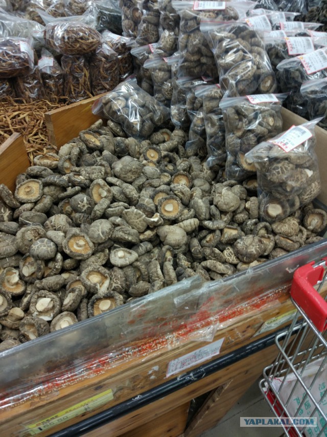 ХАЙНАНЬ. Записки путешественника. Часть первая.