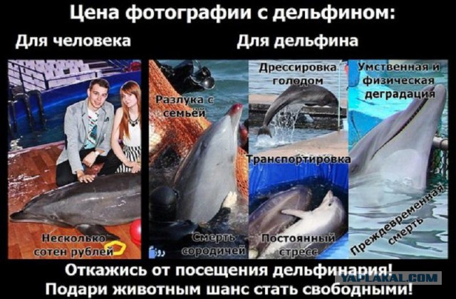 Странствующие живодёры
