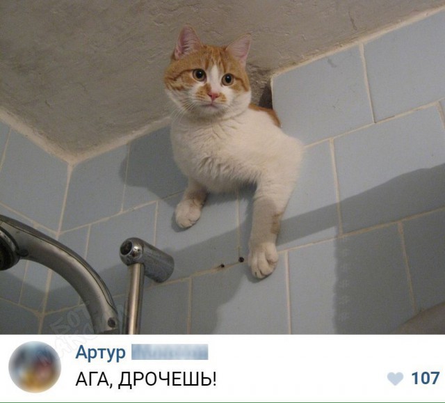 Немного картинок в эту субботу