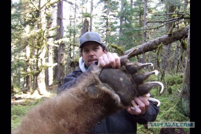 27 обычных на первый взгляд вещей, которые оказались неожиданно большими