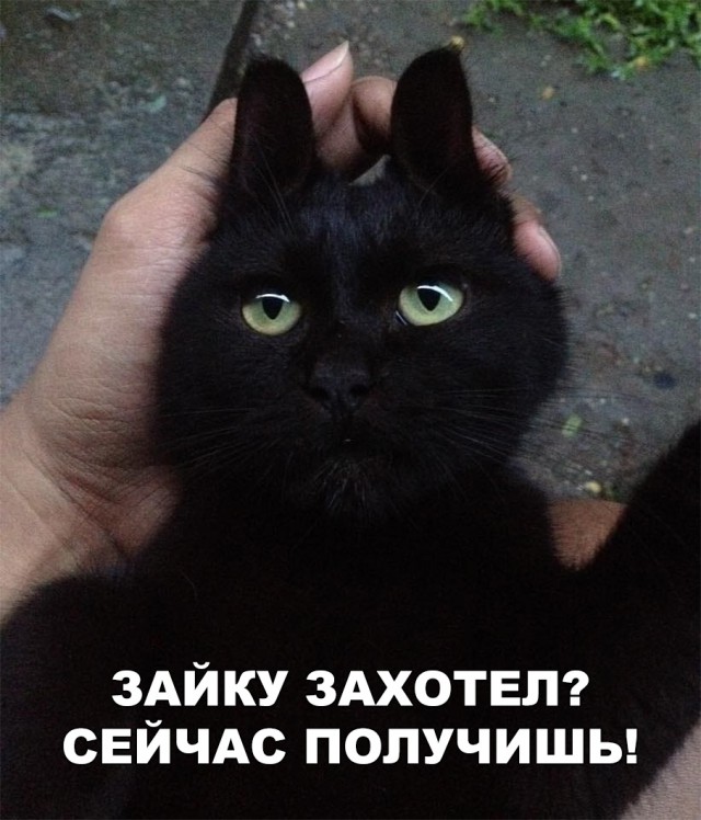 Нестандартный юмор