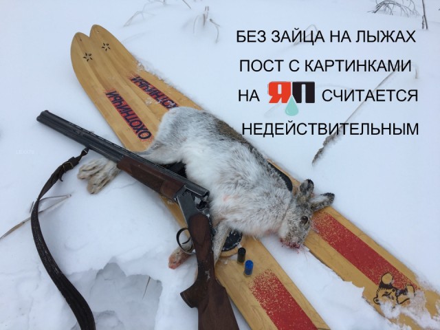Праздничные и не очень светлые картинки