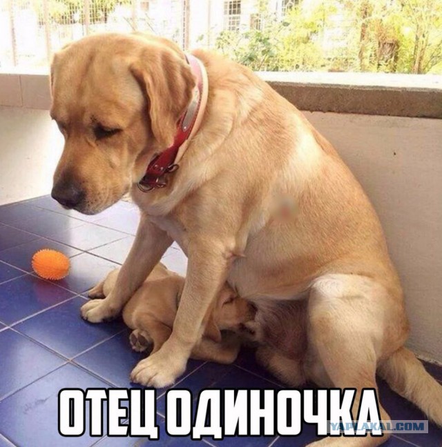 Все аморалы в сборе? - Тогда начинаем!