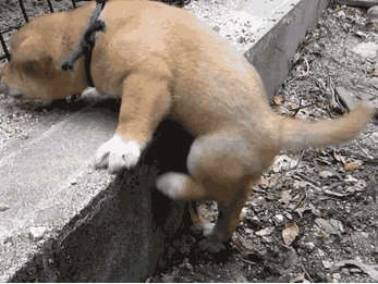 Впереди месяцы упорных тренировок