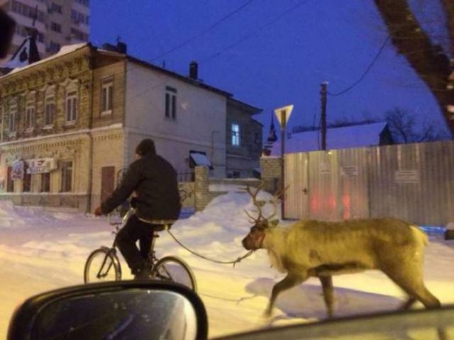 И всё-таки она наша. Лента картинок