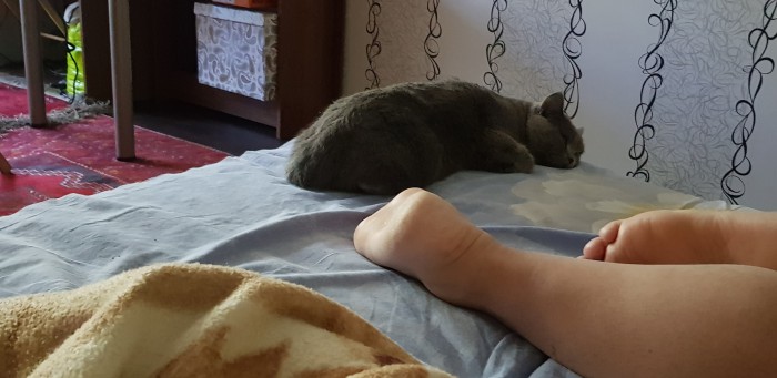Как спят наши животины....