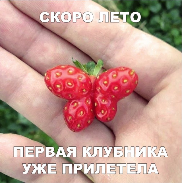 Картинки из ваших энторнетов