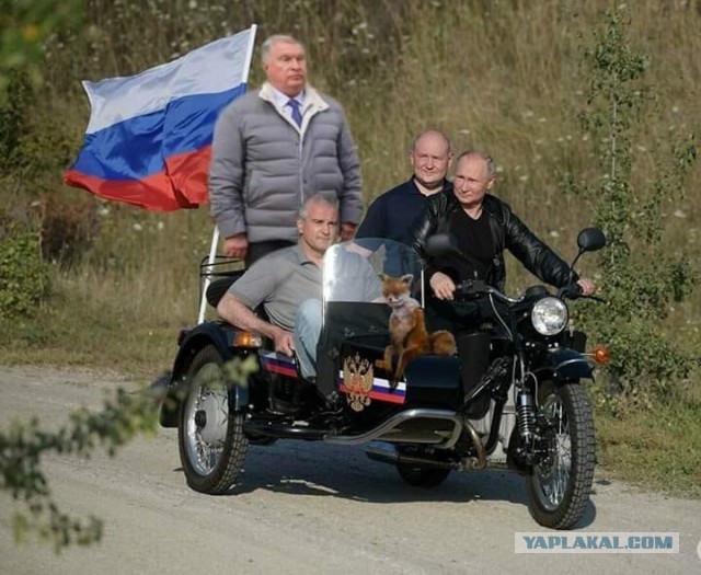 Электоральный рейтинг Путина упал до минимума за 18 лет