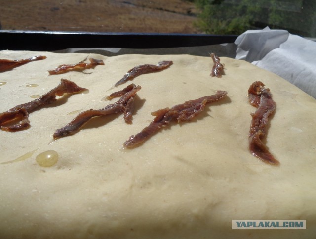 О сфинчоне в высших сферах