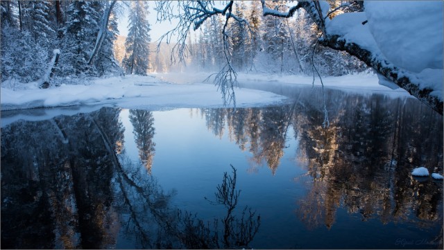 Красивая зимняя тайга