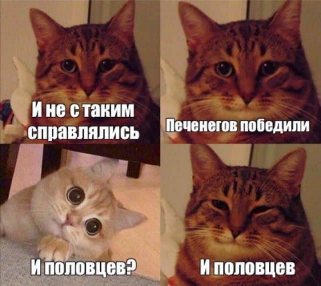 Печенеги, Половцы... Мемы