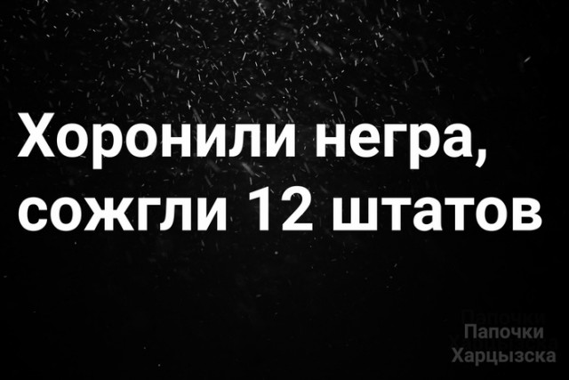 Перлы 08.06.20.