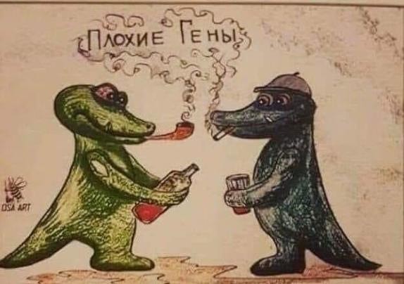 Фотки и картинки: юморные и красивые, забавные и милые 20.09.20