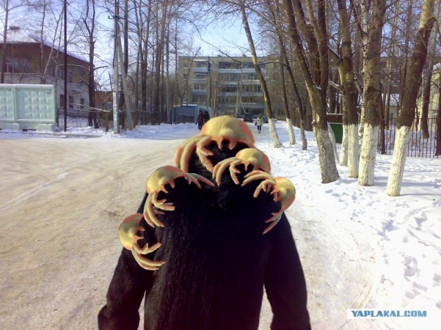 Хедкрабы в твоем городе!