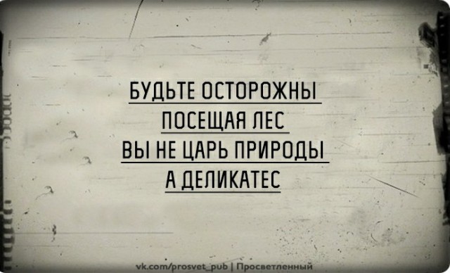 Чутка чернухи вам в пятничную ленту