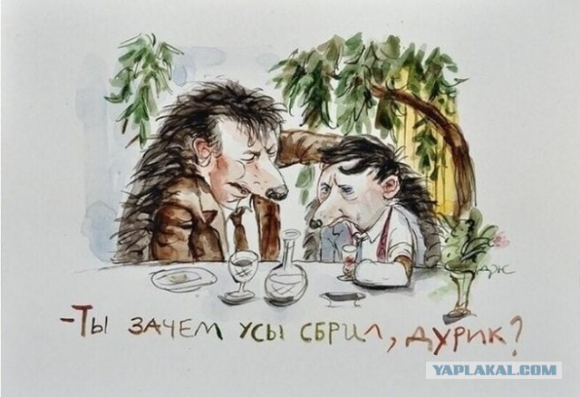 Наше старое колючее кино