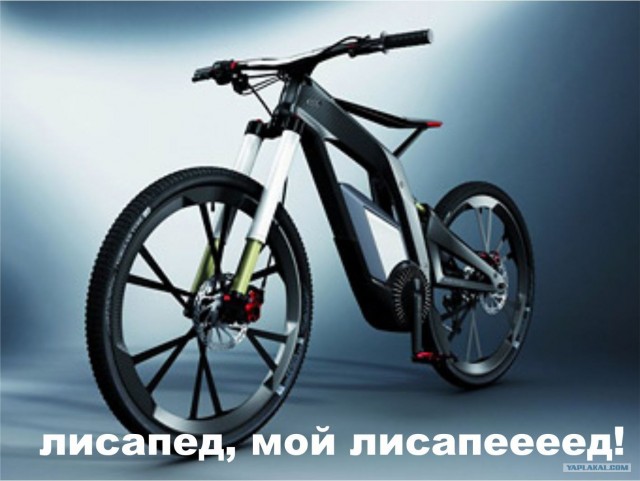Лисапет мой лисапет