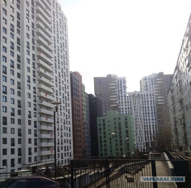 Легендарное Мурино - каменные джунгли под Питером. К чему приводит непомерная жадность застройщиков
