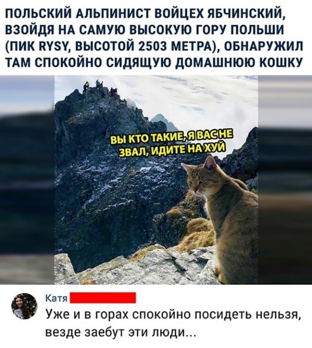 Баянисто-небаянистый юмор 10.10.21