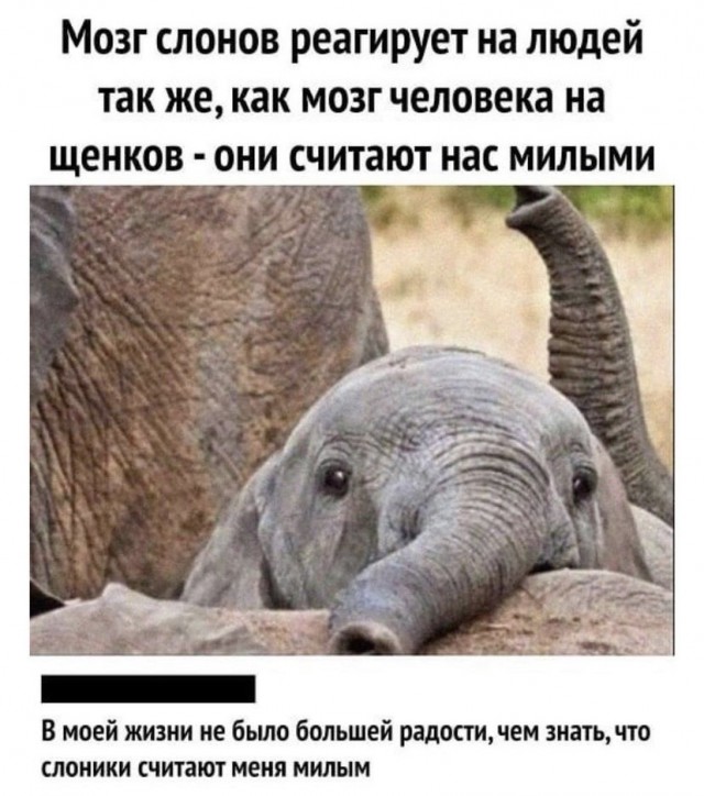 Всяческие картинки 17.11.2021