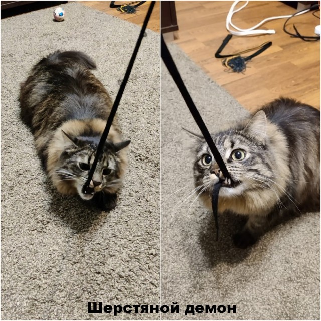 Так себе картинки 28.11.21