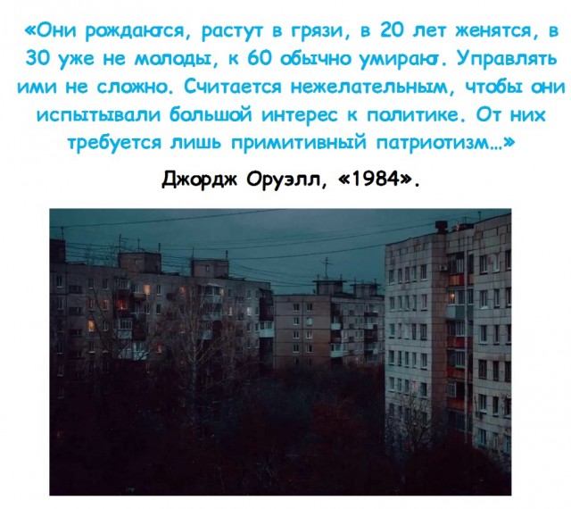 Всяческие картинки 20.12.2021