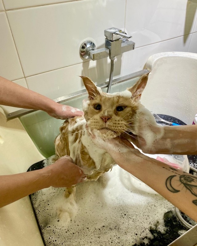 Котовторниковское