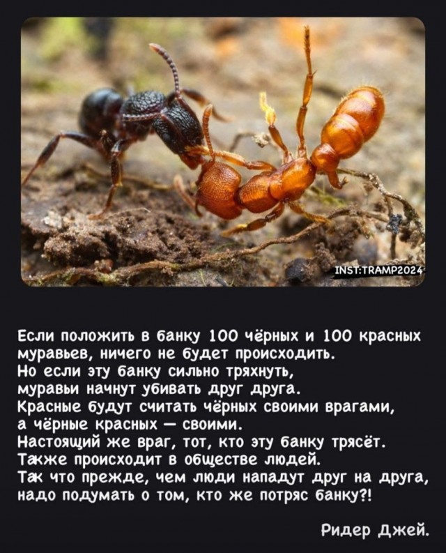 Пандемия. Коронавирус. Россия и мир. Часть 30.