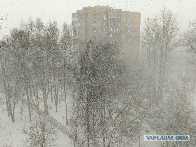 А какая у Вас сегодня весна за окном?!