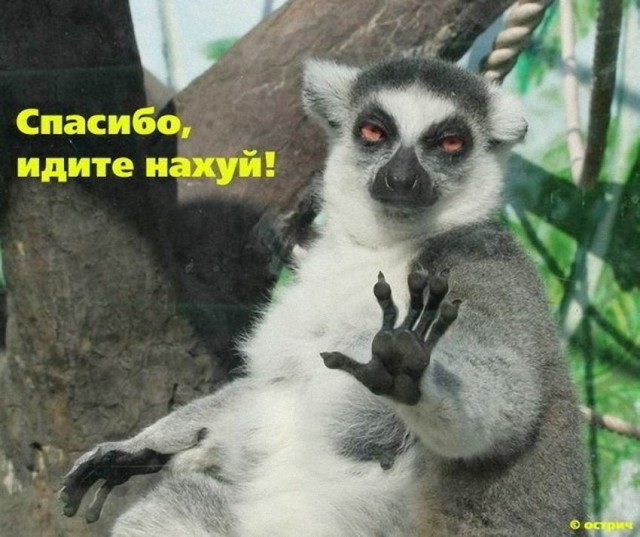 50 оттенков серого! Или самосвал баянов