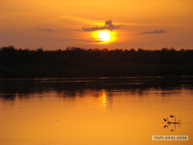 Yes! It's Africa