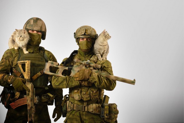 МистОр военный