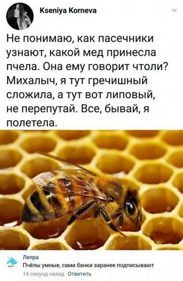 Немного картинок."Колбасный ветер". Август